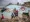 PALESTINIANS-GAZA-CONFLICT